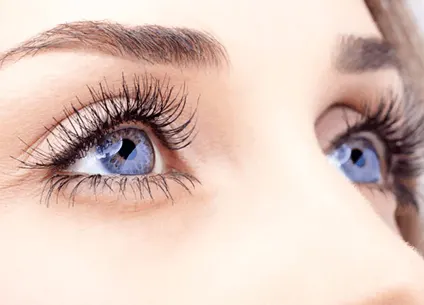 Lashes & Brows Lashes & Brows